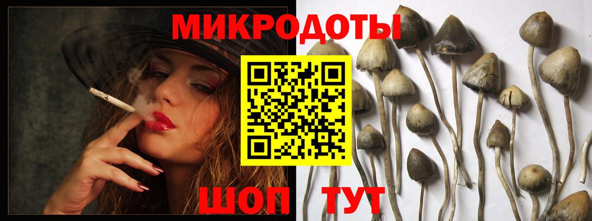 Псилоцибиновые грибы GOLDEN TEACHER  Вход с VPN  Новый Уренгой  Галлюциногенные грибы Cubensis 